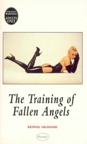Cover of the book The Training Of Fallen Angels by Siobhan Mulholland