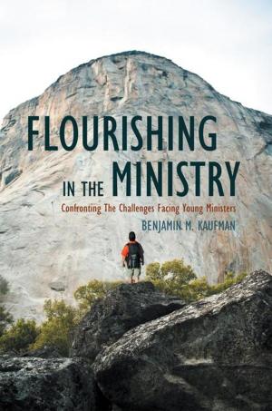 Cover of the book Flourishing in the Ministry by Tara R. Alemany