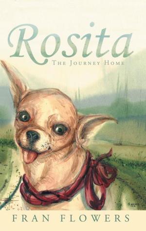 Cover of the book Rosita by Olga Pellington