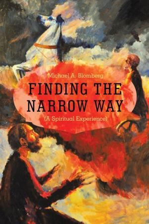 Cover of the book Finding the Narrow Way by Hannah Cook