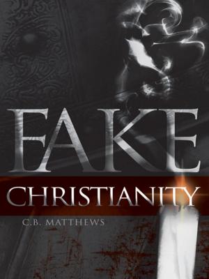 Cover of the book Fake Christianity by Kristan Shan Gray