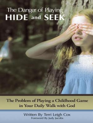 bigCover of the book The Danger of Playing Hide and Seek by 
