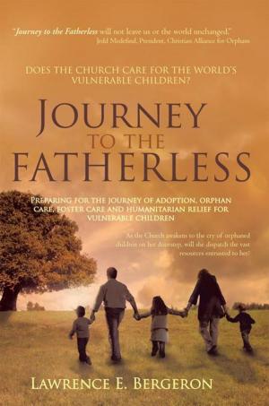 Cover of the book Journey to the Fatherless by Willow Love