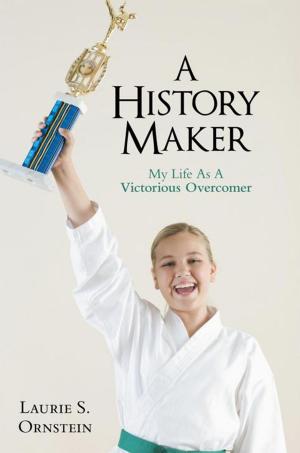 Book cover of A History Maker