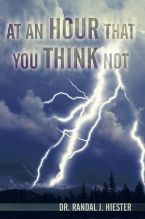 Cover of the book At an Hour That You Think Not by Shane James