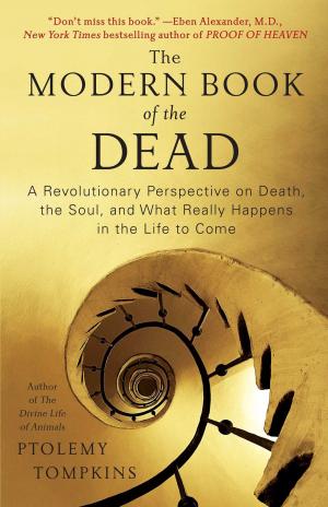Cover of the book The Modern Book of the Dead by Zane