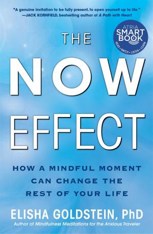 Cover of the book The Now Effect (with embedded videos) by Alexandra Solnado