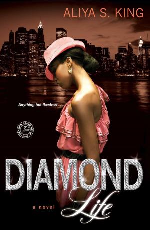 Cover of the book Diamond Life by Ann Smolin