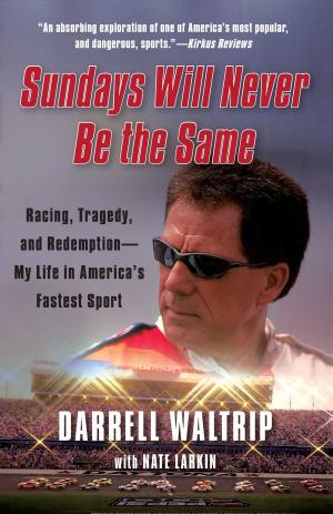 Cover of the book Sundays Will Never Be the Same by Barbara Haber