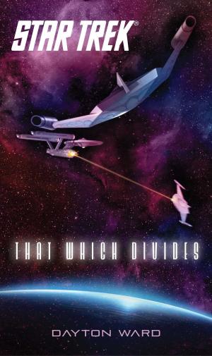 Cover of the book That Which Divides by D.L. McDermott