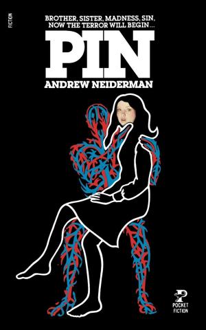 Cover of the book Pin by Andrea Kane