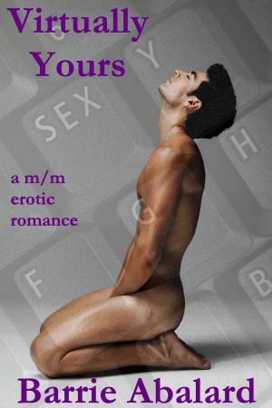 Book cover of Virtually Yours A M/M Erotic Romance