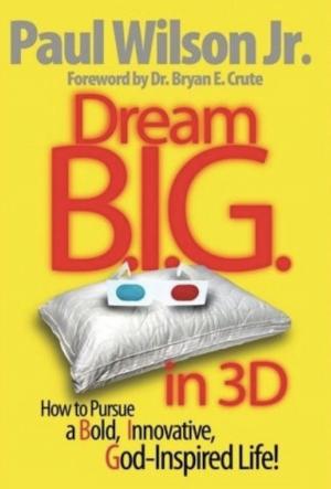 Book cover of Dream B.I.G. in 3D: How to Pursue a Bold, Innovative, God-Inspired Life!