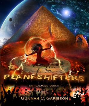 Cover of the book Planeshifters by Timothy C. Socha