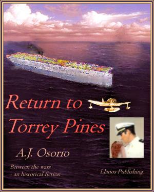 Book cover of Return to Torrey Pines