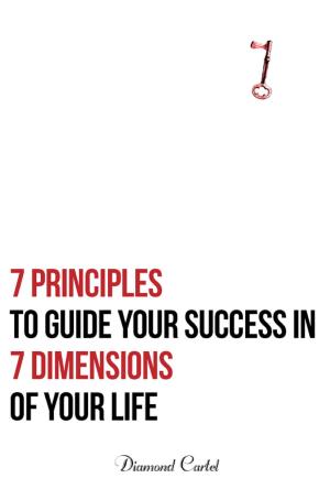 Cover of the book 7 Principles to Guide Your Success in 7 Dimensions of Your Life by RJ Aspinall