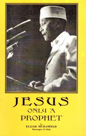 Cover of Jesus: Only A Prophet