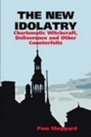Cover of The New Idolatry: Charismatic Witchcraft, Deliverance and Other Counterfeits