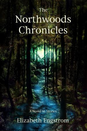 Cover of the book The Northwoods Chronicles: A Novel in Short Stories by S.M. Lee