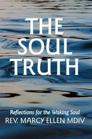 Cover of the book The Soul Truth by Christine Core