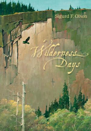 Cover of the book Wilderness Days by 