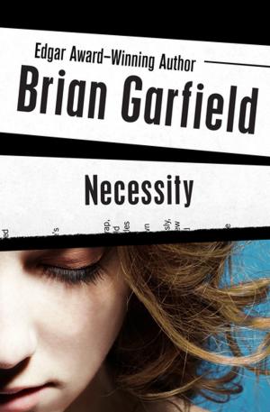 Cover of the book Necessity by Stephan A. Schwartz