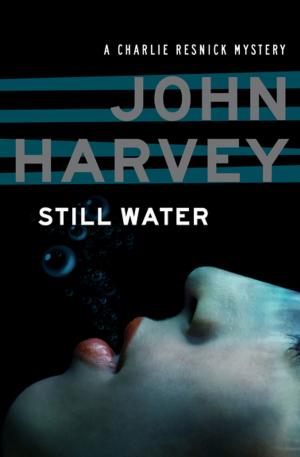 Cover of the book Still Water by Mari Hamill