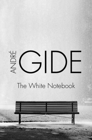 Cover of the book The White Notebook by Richard W. Nice