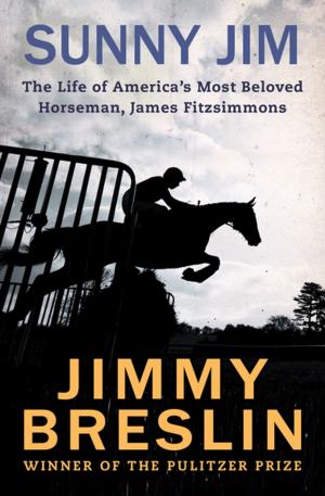 Cover of the book Sunny Jim by Stanley Elkin