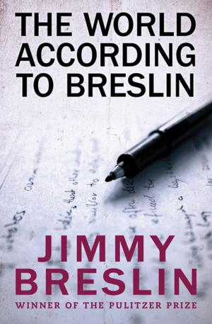 Cover of the book The World According to Breslin by Lynne Sharon Schwartz