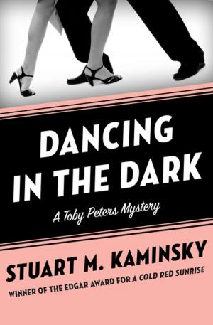 Cover of the book Dancing in the Dark by Duncan B Barlow