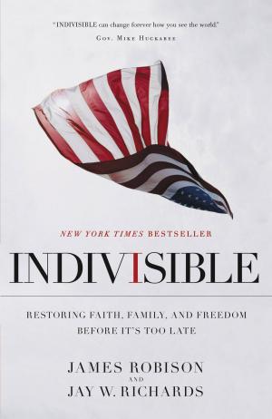 Cover of the book Indivisible by Rebecca St. James