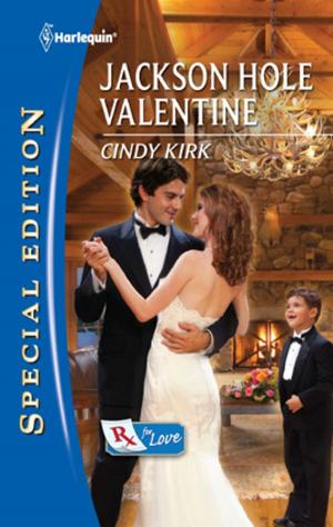 Cover of the book Jackson Hole Valentine by Pamela Britton