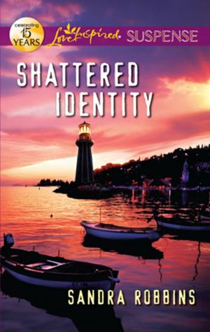 Cover of the book Shattered Identity by Leigh Michaels