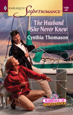 Book cover of The Husband She Never Knew