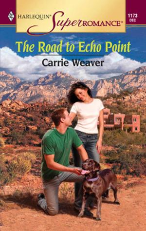 Book cover of THE ROAD TO ECHO POINT