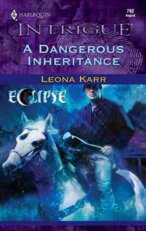 Cover of the book A Dangerous Inheritance by Adèline Klay
