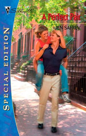 Cover of the book A PERFECT PAIR by Christine Anderson