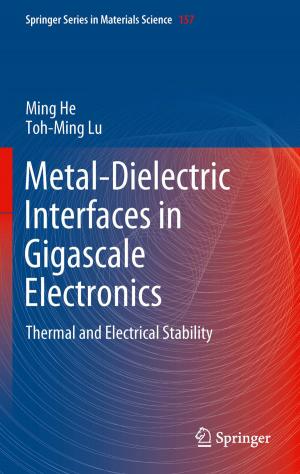 Cover of the book Metal-Dielectric Interfaces in Gigascale Electronics by Alain Goriely