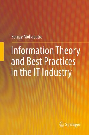 Cover of the book Information Theory and Best Practices in the IT Industry by Elisa Pappalardo, Giovanni Stracquadanio, Panos M. Pardalos