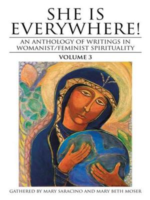 Cover of the book She Is Everywhere! Volume 3 by Yolanda Conley Shields