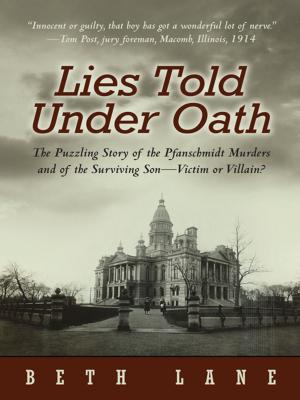 Cover of the book Lies Told Under Oath by Albert E. McCormick Jr. PhD