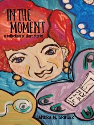 Cover of the book In the Moment by Hairi Lasisi