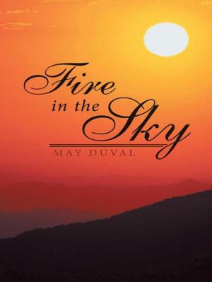 Cover of the book Fire in the Sky by Jennifer Rashwan