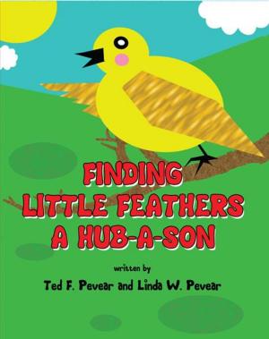Cover of the book Finding Little Feathers A Hub-A-Son by Jean-Claude van Rijckeghem, Pat van Beirs