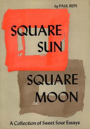 Book cover of Square Sun, Square Moon