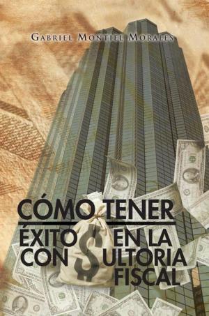 Cover of the book Cómo Tener Éxito En La Consultoria Fiscal by Luz del Carmen Vilchis Esquivel