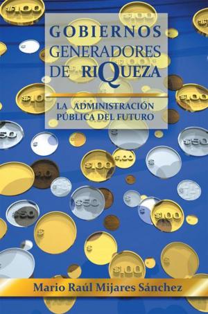 Cover of the book Gobiernos Generadores De Riqueza by Ing. Mario Castillo