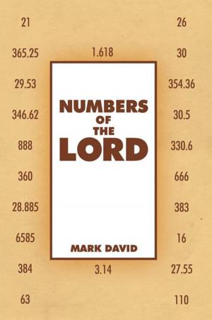 Cover of the book Numbers of the Lord by Bob Campana
