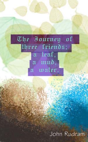 Book cover of The Journey of Three Friends; A Leaf, A Mud, A Water.